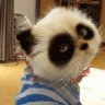 爱爱小说